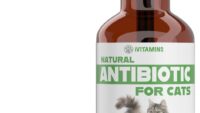 Natural Cat Antibiotic | Antibiotics for Cats